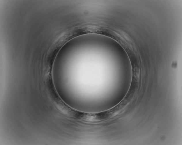 X0000094970507200711291507