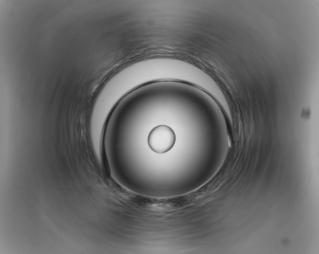 X0000094970508200711291507