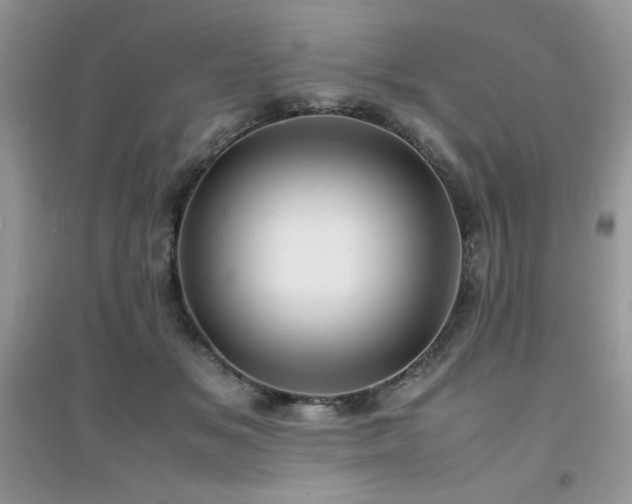 X0000094970509200711291507
