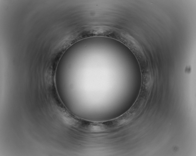 X0000094970510200711291507