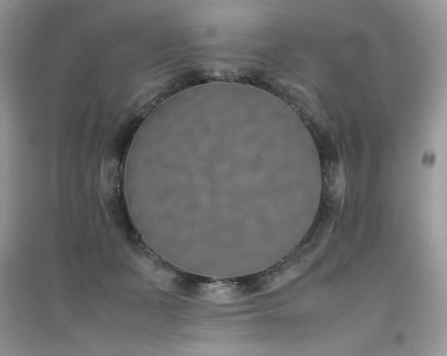 X0000094970511200711291507