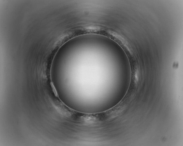 X0000094970512200711291507
