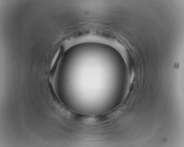 X0000094970513200711291507