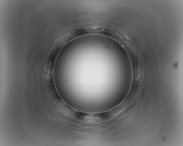 X0000094970515200711291507
