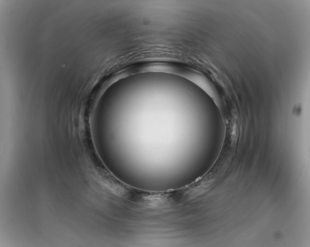X0000094970516200711291507