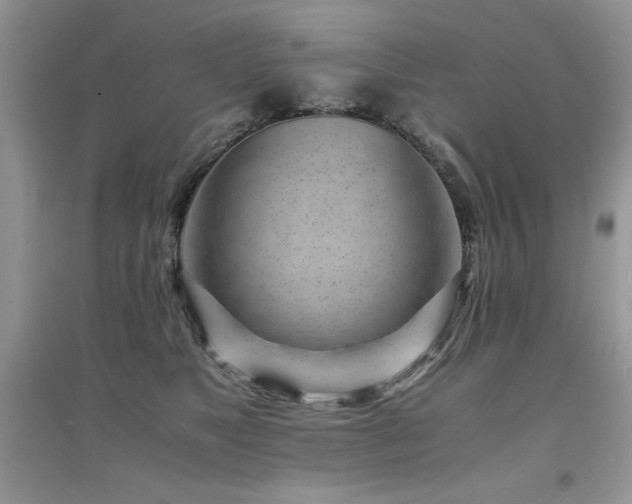 X0000094970517200711291507