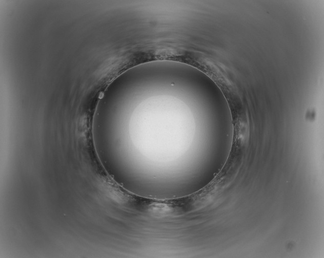 X0000094970519200711291507