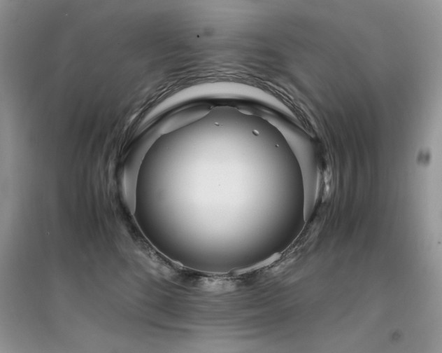 X0000094970520200711291507