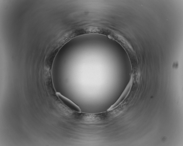 X0000094970521200711291507