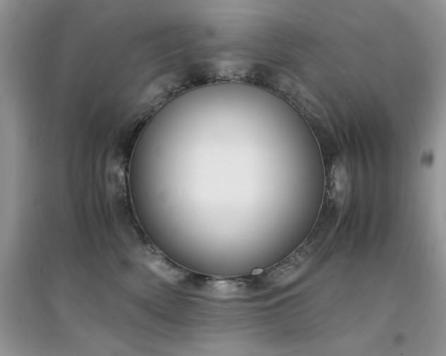 X0000094970522200711291507