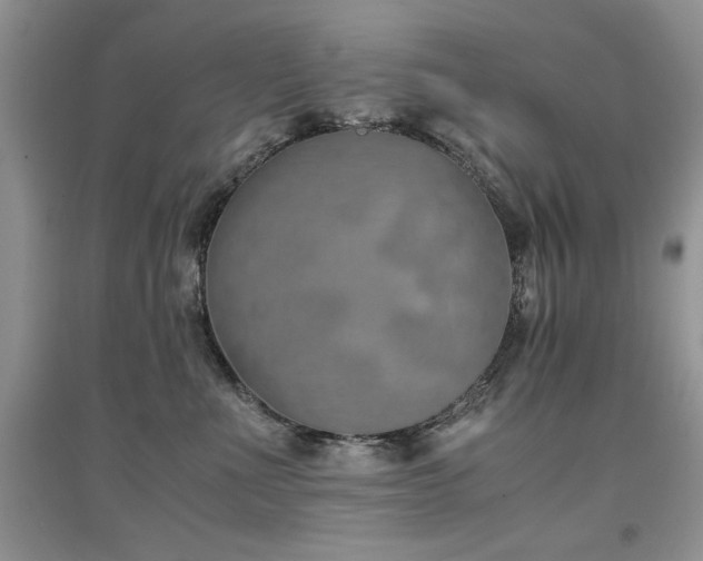 X0000094970523200711291507