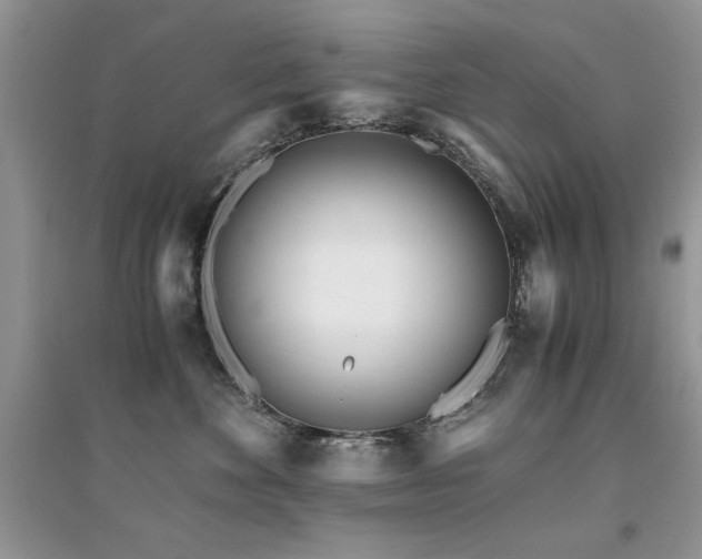 X0000094970524200711291507