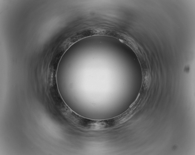 X0000094970525200711291507