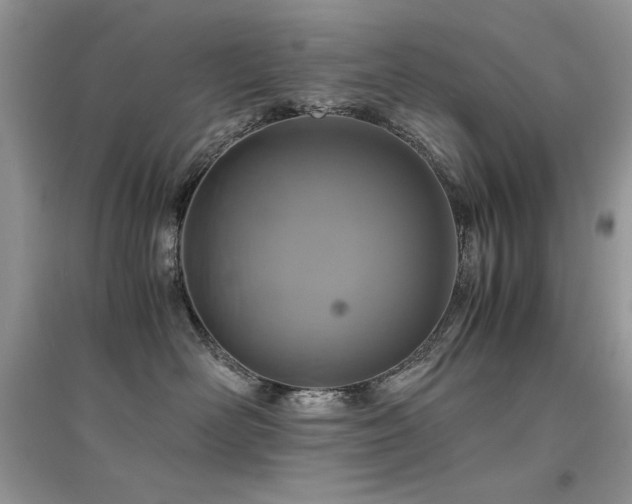 X0000094970526200711291507