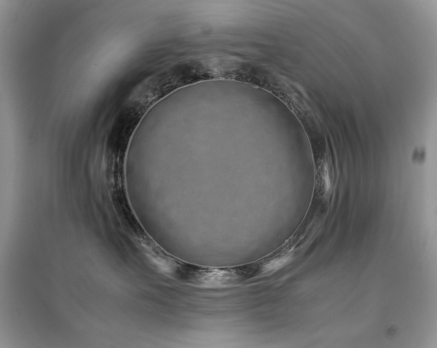 X0000094970527200711291506