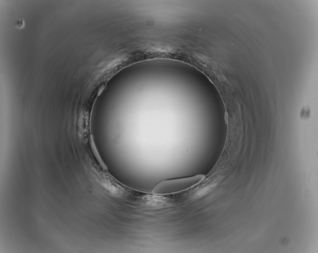 X0000094970528200711291506
