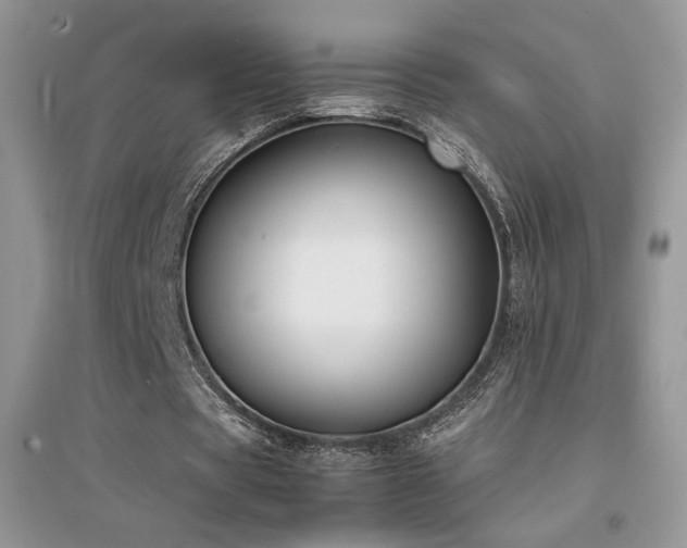 X0000094970529200711291506