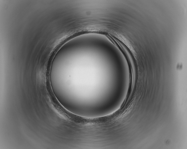 X0000094970530200711291506