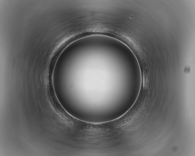 X0000094970531200711291506