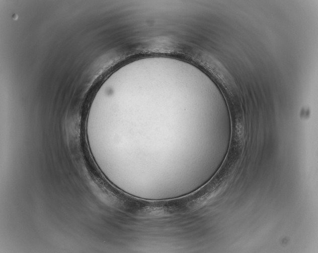 X0000094970534200711291506