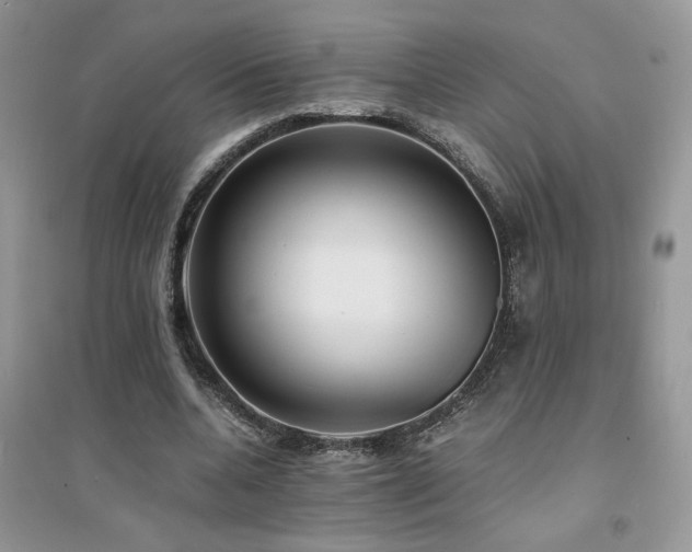 X0000094970536200711291506