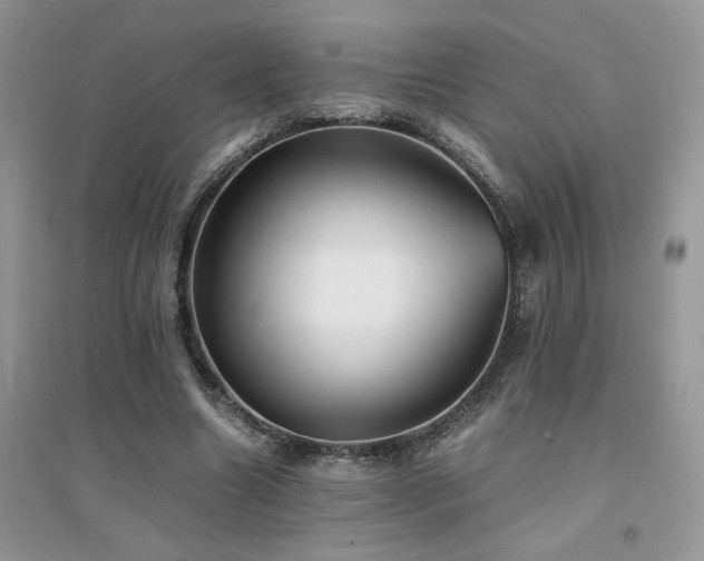 X0000094970538200711291506