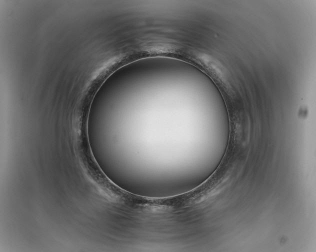 X0000094970539200711291506