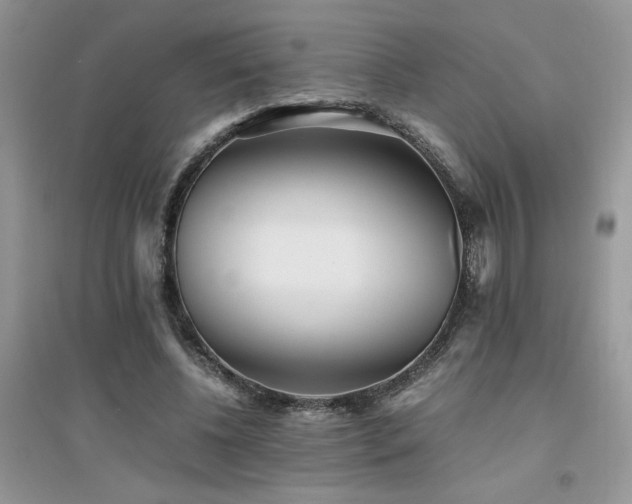 X0000094970540200711291506