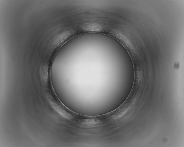 X0000094970541200711291506