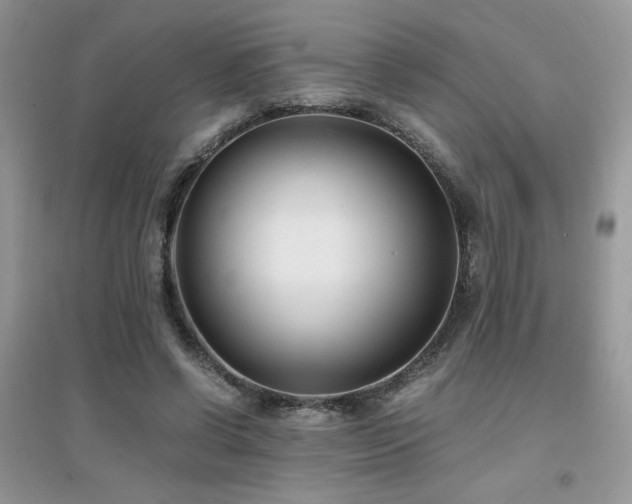 X0000094970542200711291506