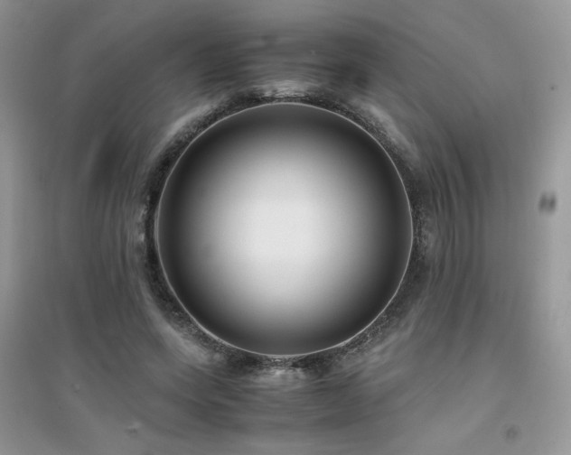 X0000094970543200711291506