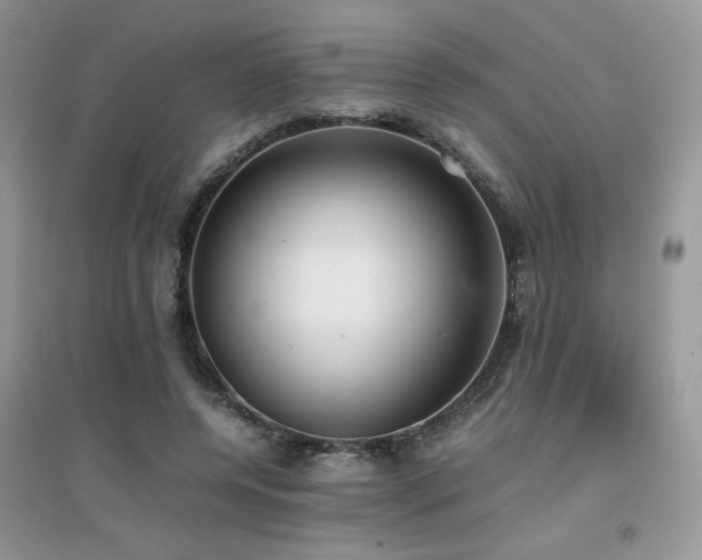 X0000094970544200711291506