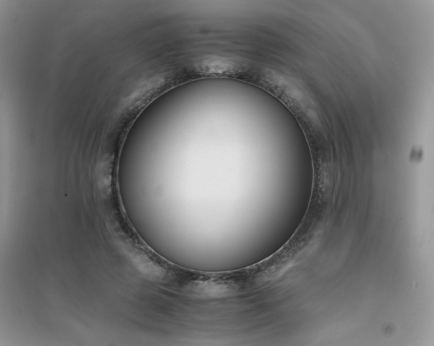 X0000094970545200711291506