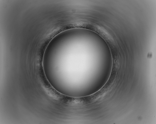 X0000094970546200711291506