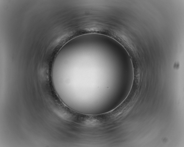X0000094970547200711291506