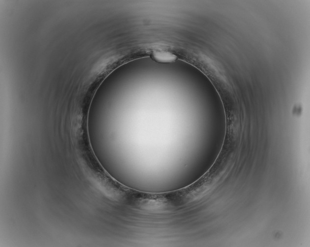X0000094970548200711291506