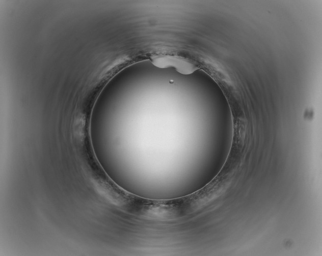 X0000094970550200711291506