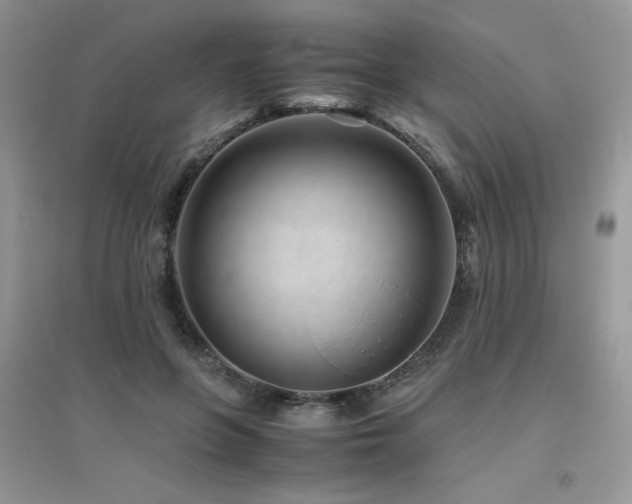 X0000094970551200711291506