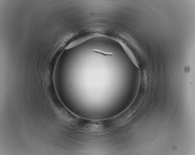 X0000094970552200711291506