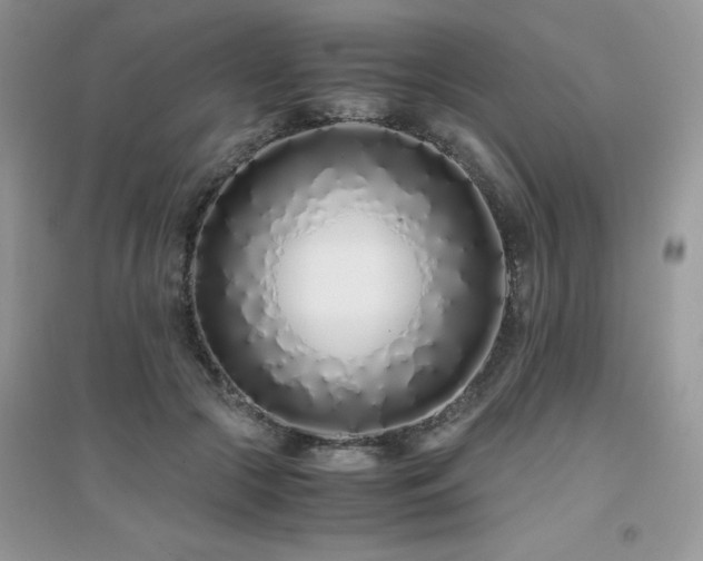 X0000094970553200711291506