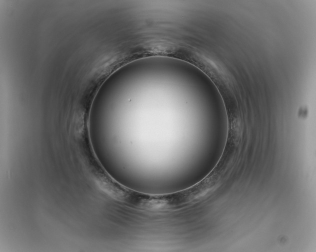 X0000094970554200711291506