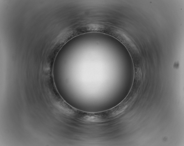 X0000094970557200711291506