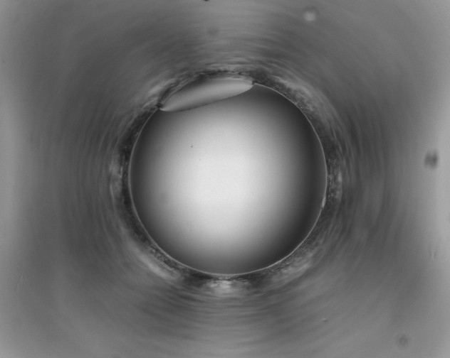 X0000094970558200711291506
