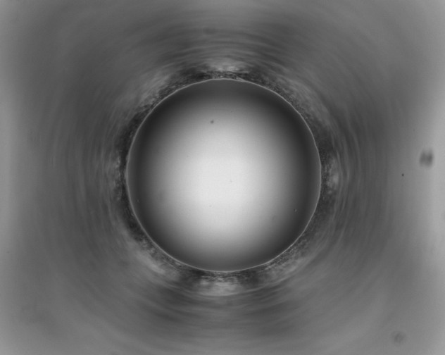 X0000094970559200711291506