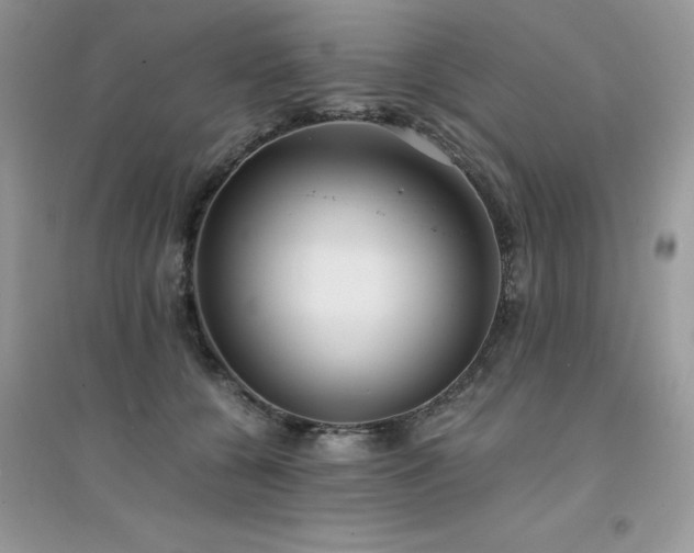 X0000094970560200711291506