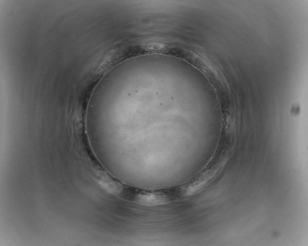 X0000094970561200711291506