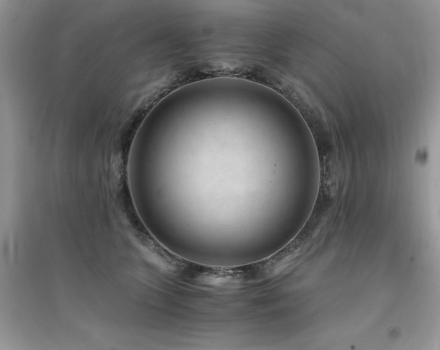 X0000094970563200711291506