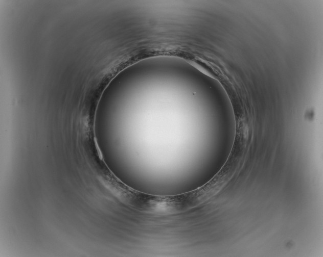 X0000094970564200711291506