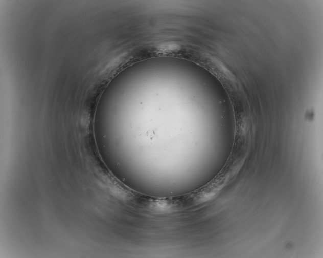 X0000094970565200711291506