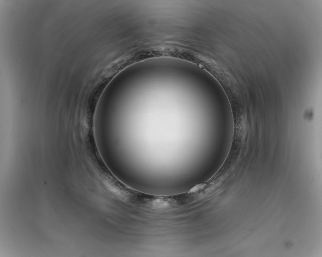 X0000094970566200711291506
